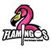 NBS Flamingos (2018)